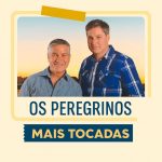 de8e07d6-f69e-4f17-8af8-6704f46ea241