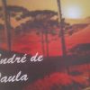 André de Paula Igreja de Fogo