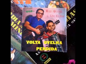 Araci Miranda & Sofia Cardoso - Volta Ovelha Perdida
