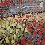 Conj. Set´Sons - Jardim de flores