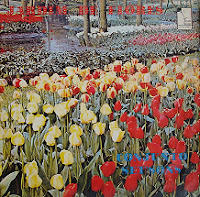 Conj. Set´Sons - Jardim de flores
