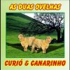 Curió e Canarinho - Duas Ovelhas Credito Preciosidade Gospel