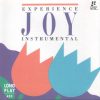 Diversos - Experience Joy [Instrumental]