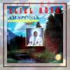 Eliel Rosa - Amazonia