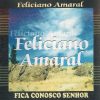 Baixe os CDs gospel – Feliciano Amaral – Fica conosco Senhor Feliciano Amaral - Fica conosco Senhor