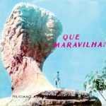 Feliciano Amaral-Que Maravilha-Voz
