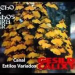 Gesildo Calixto - Fecho Os Olhos Para Ver 1979
