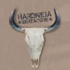 Playlists – Hardneja Sertacore Mais Tocadas Hardneja Sertacore mais tocadas 2026