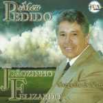 Joãozinho Felizardo - Meu Pedido