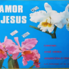José Vieira - O Amor de Jesus