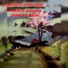 Juarez Arraes - Pendão Real 1970