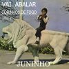 JUNINHO-VAI ABALAR VOL 1