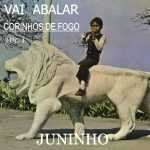 JUNINHO-VAI ABALAR VOL 1