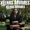 Jussara Segatto - Velhas Árvores 1998