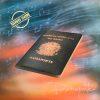 Novo Som (1992) - Passaporte