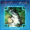Paulo Cezar Brito - Junto a Fonte - 1988