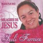 Sueli Ferreira - Milagres de Jesus