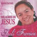 Sueli Ferreira | Milagres de Jesus