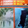 Testemunho de J.Cardozo - Ontem e Hoje