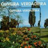 Trio Alexandre - Oliveira Verdadeira 1979