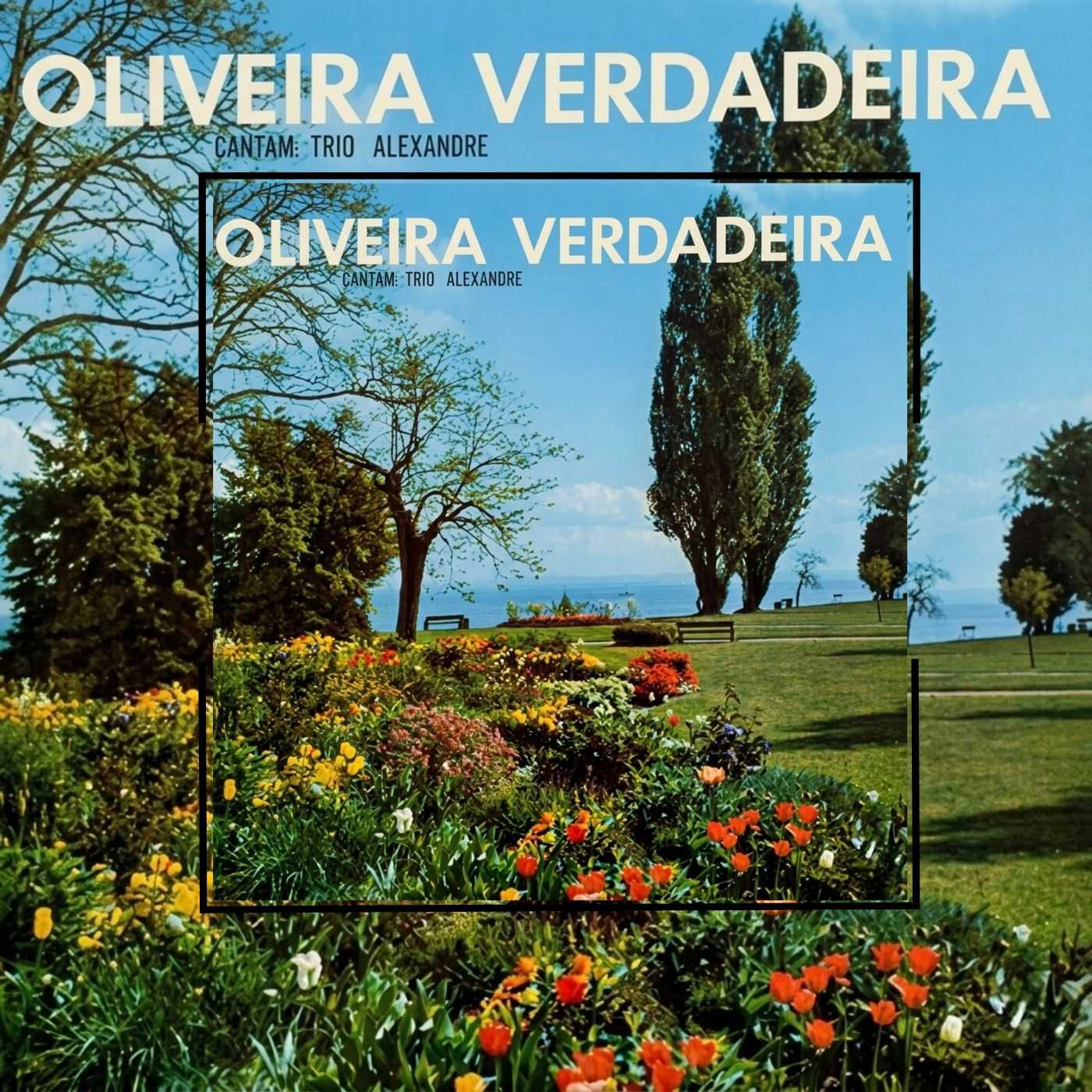 Baixe os CDs gospel – Trio Alexandre – Oliveira Verdadeira 1979 Trio Alexandre - Oliveira Verdadeira 1979