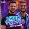 Leo Filipe mais tocadas 2026