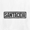 Santaceia mais tocadas 2026