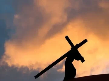 Download 19/02/2026 - Reflexão do Evangelho Diário