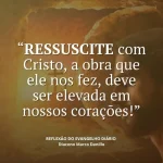 Download 20/04/2025 - Reflexão do Evangelho Diário (Feliz Páscoa)