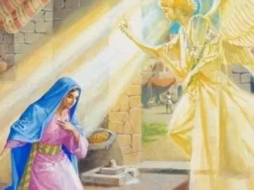 Download 20/12/2024 - Reflexão do Evangelho Diário (3ª semana do Advento)
