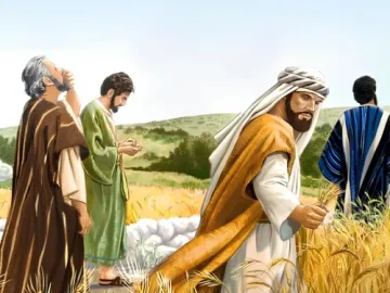 Download 21/01/2025 - Reflexão do Evangelho Diário (Santa Inês - Virgem e Mártir)