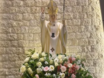 Download 22/10/2024 - Reflexão do Evangelho Diário (São João Paulo II)