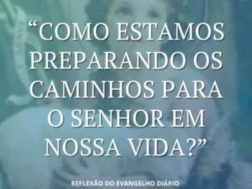 Download 24/06/2025 - Reflexão do Evangelho Diário (NATIVIDADE DE SÃO JOÃO BATISTA)