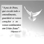 Baixe os CDs Gospel – Como cobrar o que Deus me deve Mario Persona. Download Como cobrar o que Deus me deve Mario Persona.