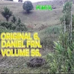 Download DANIEL FRN VOLUME56 ORIGINAL6, SERESTA GOSPEL.