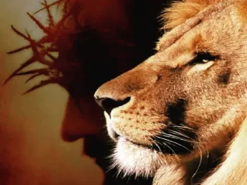 Download Deus do Impossível Miles Santos
