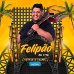 Download Felipão Forrozão Gospel