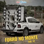 Download FORRÓ NO MONTE VOL.12 @emersondivulgações