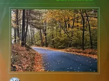 Download Grupo Logos - Caminhos