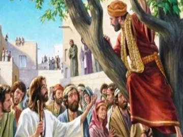 Download Jesus E Zaquel