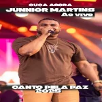Download Júnnior Martinns ao vivo Canto pela paz Salvador 2025