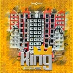 Download KARLLOS VIANNA ESPECIAL GOSPEL - QUALITY OF PAREDÃO - KingCDs