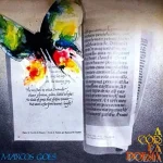 Download Marcos Góes - A cor e a Poesia
