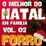Download O Melhor do Natal Vol. 03 Ritmo Forró