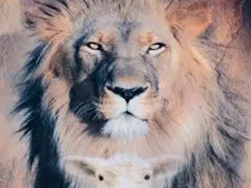 Download SELEÇÃO CATÓLICAS/CRISTÃ