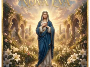 Download Vidanagraça