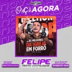 Download William Sanfona Melhores da Igreja em Forro